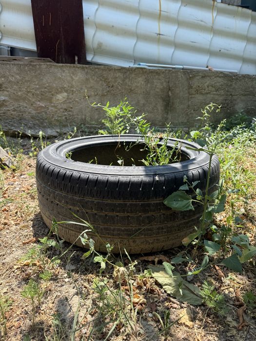 Продам комплект шин