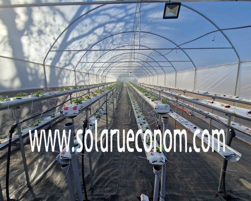 Sera (solar) - 30 mp - 2850 lei