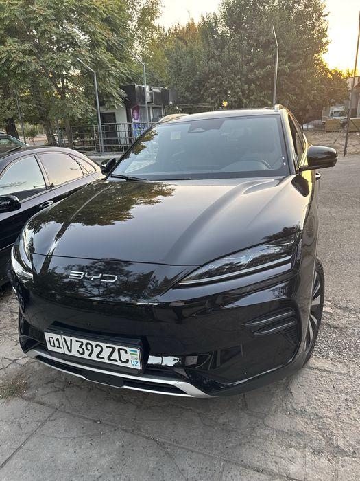 Bvd  2023 год срочноь