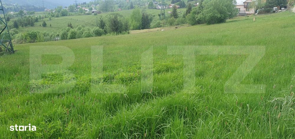 Teren intravilan, 9964 mp, zona Vatra Dornei