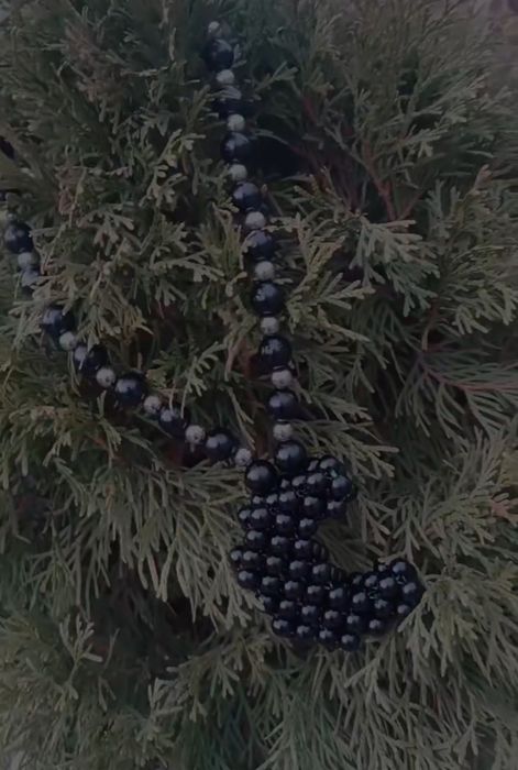 Крестики из  бусин