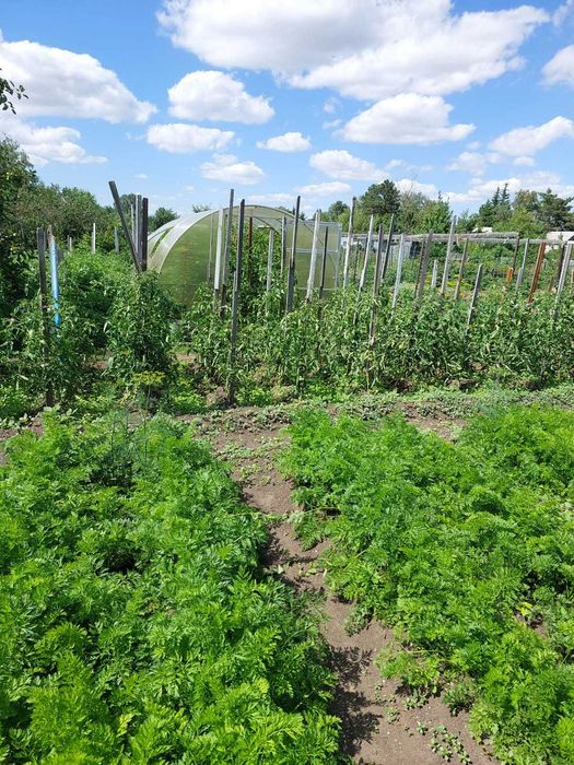 Продаётся дача, Федоровка