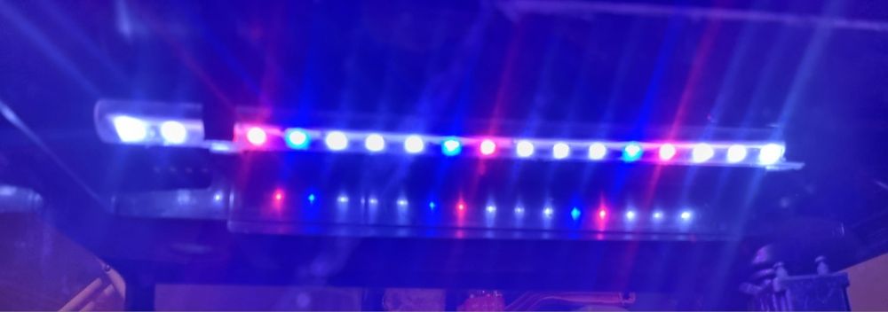 Vând acvariu pești