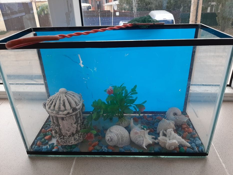 Аквариум среднего размера