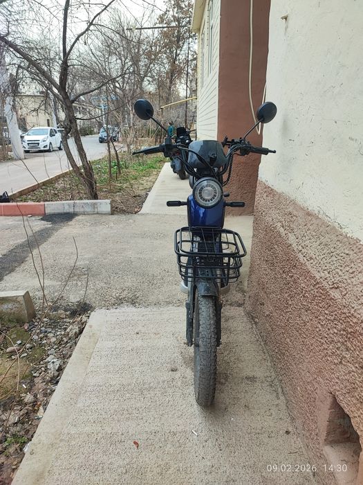 Ganland Skuter Monster 2