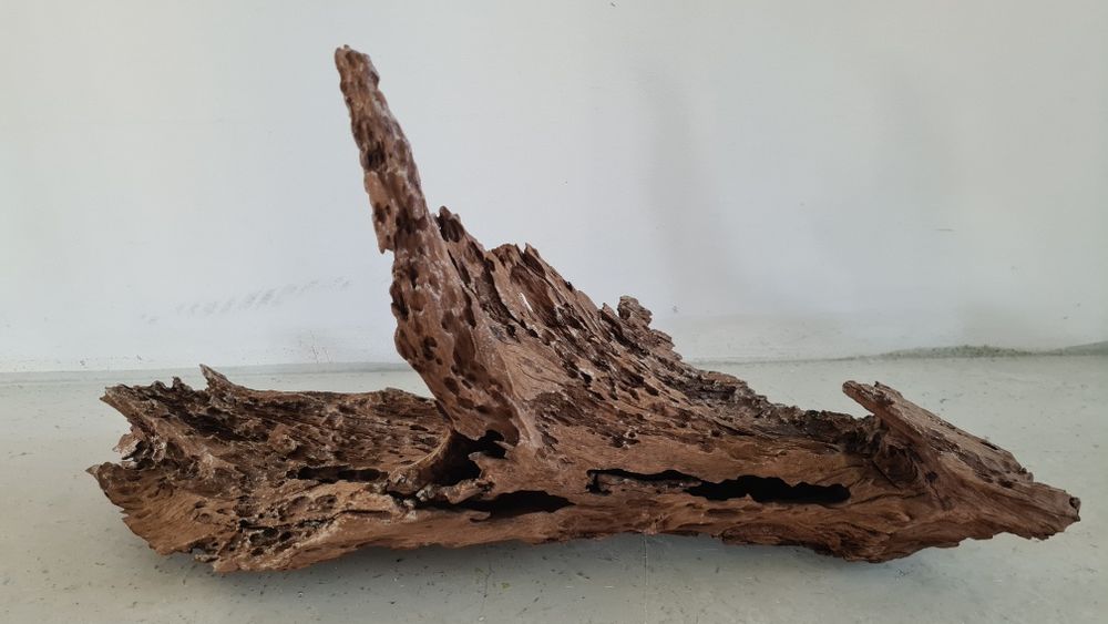 Buturuga / lemn mangrove pentru acvarii