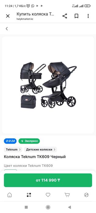 Коляска ТЕКНУМ 2 в 1