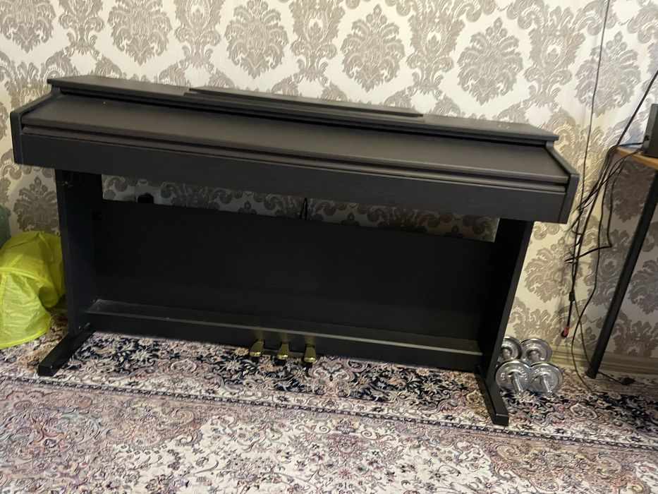 Пивнино цифравое