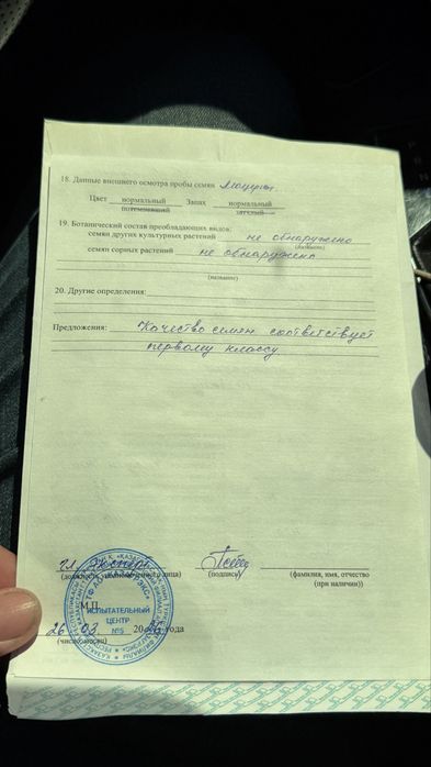 Беде. Жонышка урык. Люцерна.