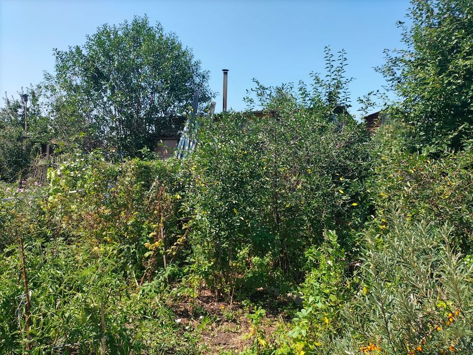 Продам дачу,общество Эврика
