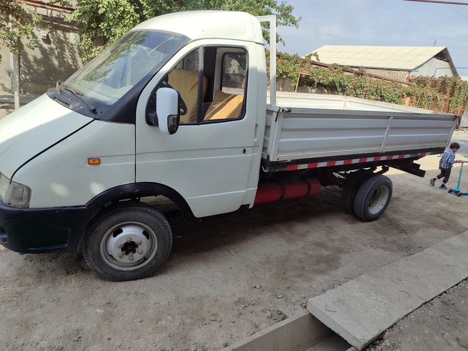 Gazel sotiladi. Yurib turgan.