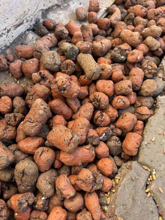 Керамзит Тошкент