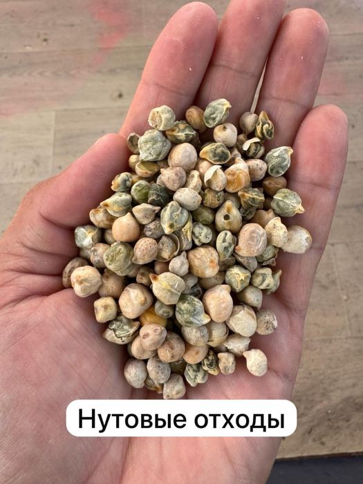 Арпа, бидай, отходы, горох, кебек чечевица