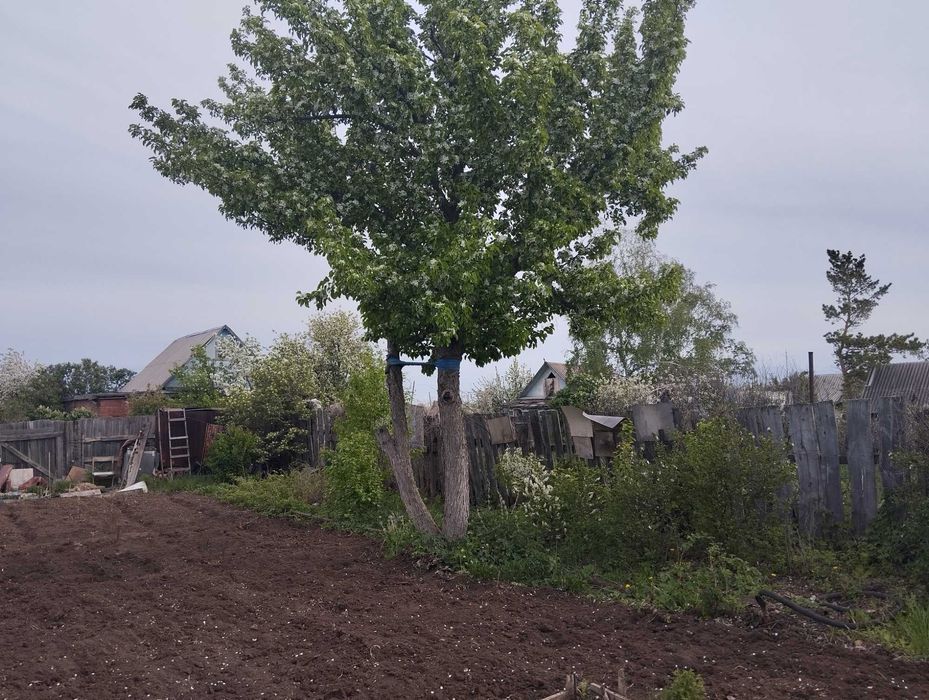 дача Темерязево Рассвет