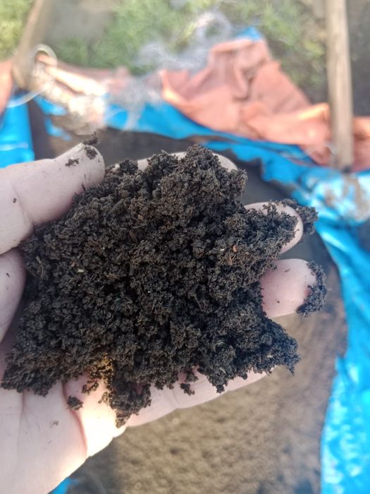 Биогумус органическое удобрение