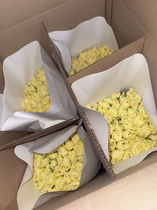 Тюльпаны к 8 марта