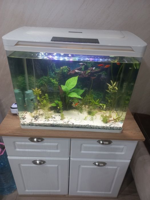 Аквариум и шкаф!