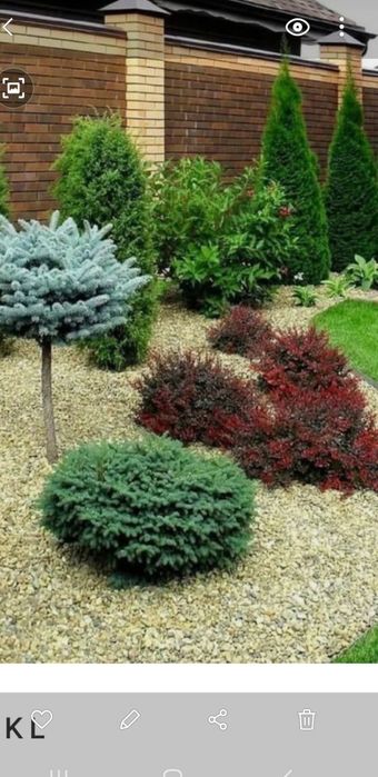 Spații verzi cu plante si gazon