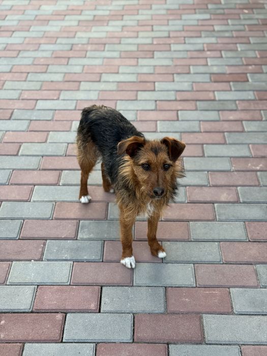 Девочка Евочка ищет любящую семью