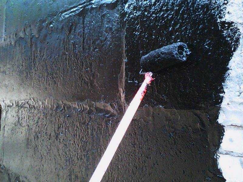 суюк чакич (праймер)