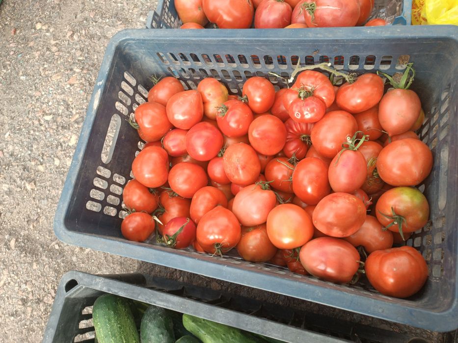 Продам домашние помидоры
