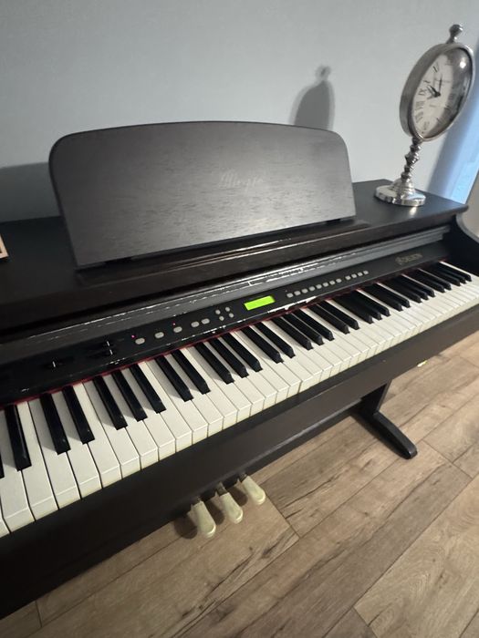 Pian electric  digital  Alegro 8865