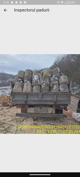 Lemne de vanzare județul salaj