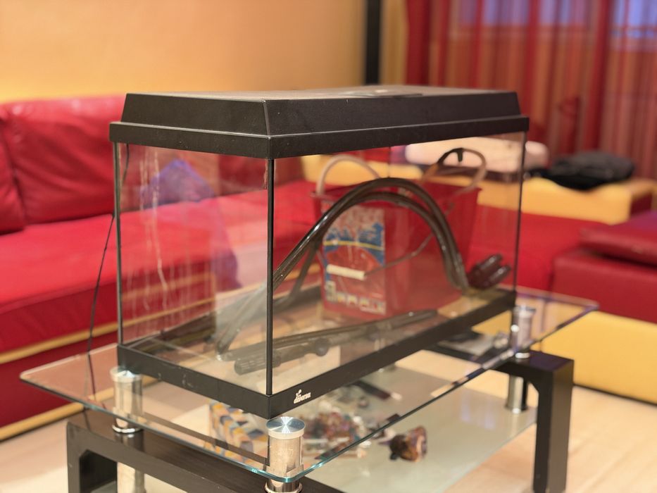 Acvariu 100 litri + filtru  Eheim Professionel 4+ 250 (950 l/ h)