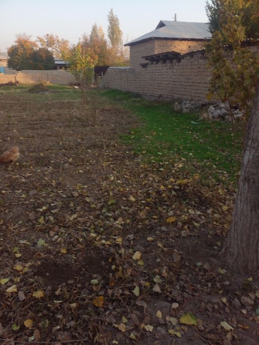 Участка ер Тошкентда вилояти Уртачирчик тугмани Уртасарой