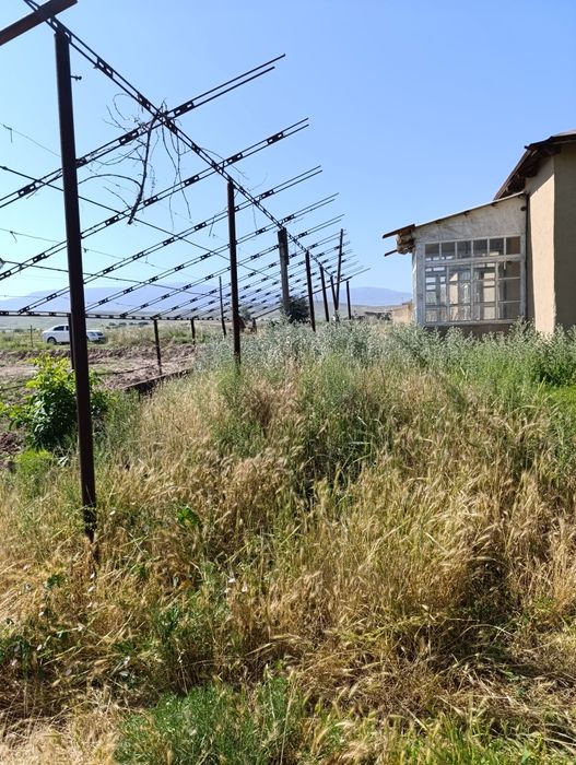 Ховли сотаман 14сотих ,сув яхши