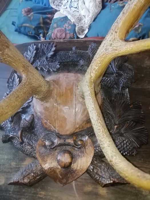 Coarne vechi cerb 1927