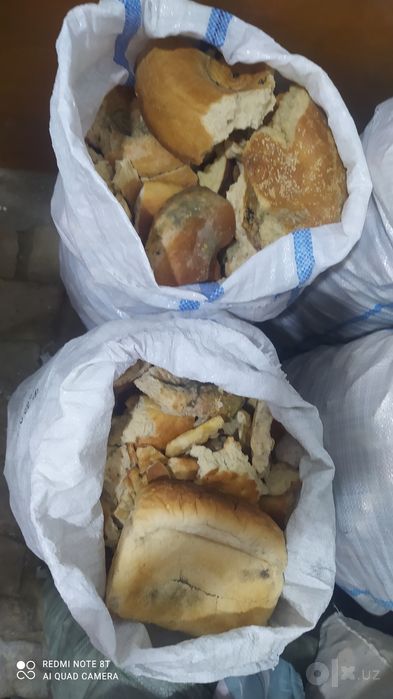 Qotgan non sotiladi