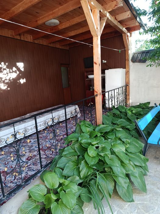 Dacha Burchumullo