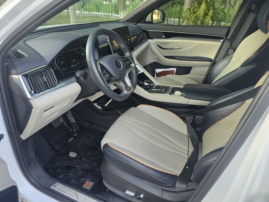 Other Song Pro EV 2022 — 3