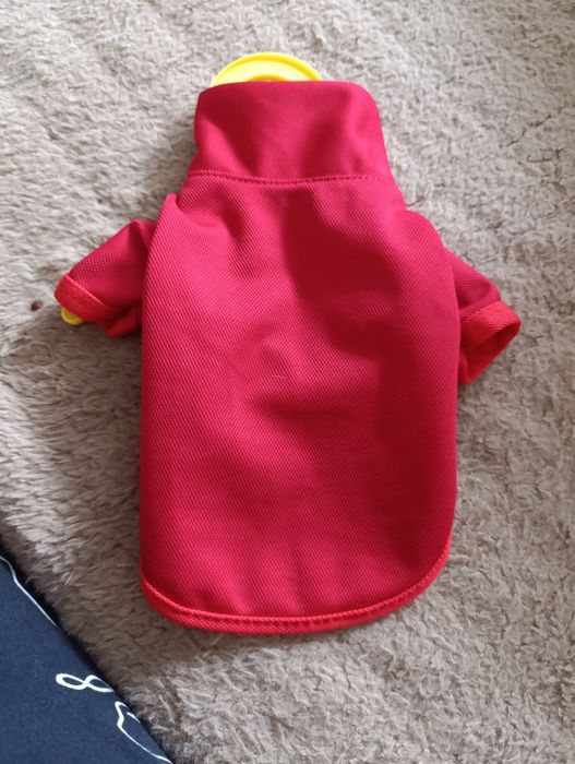 Вещи для маленьких парод собак