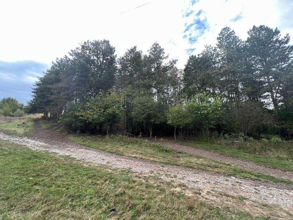 Къща – Пробуда – 8645