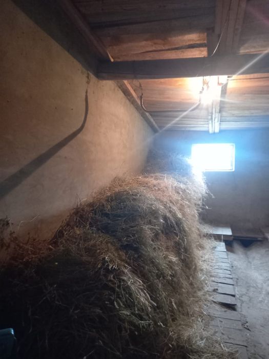 Продаем дом в холодном ключе