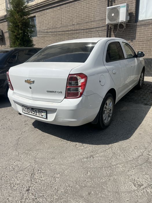 kobalt kobilt кобилт 2024