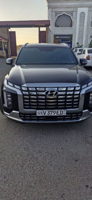 Hyundai palisade