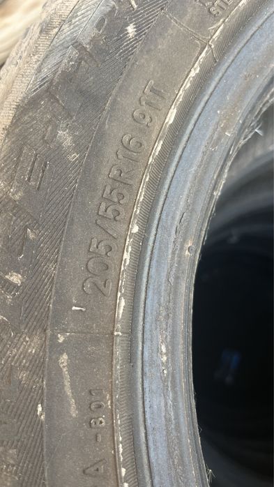 Шины зимние toyo