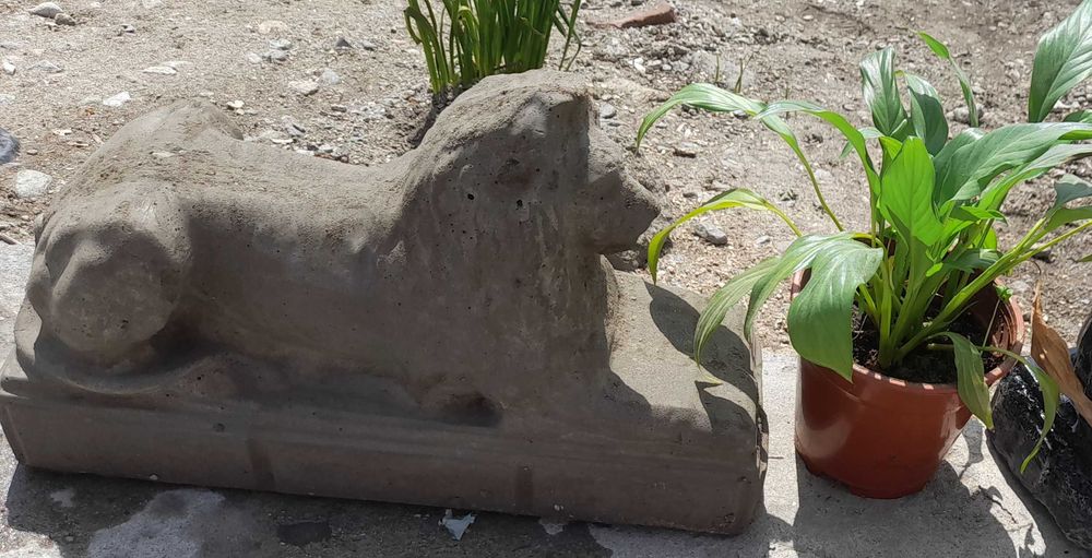 Lei ornamentali din ciment la comandă