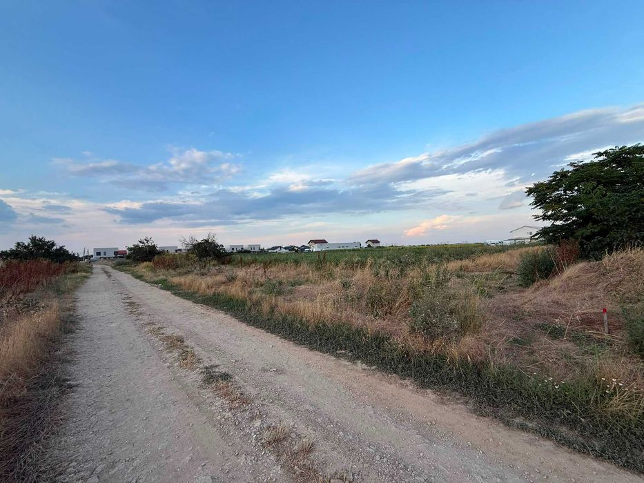 Teren Intravilan 959 mp – Bălăceanca (Cernica), Zonă Rezidențială Nouă