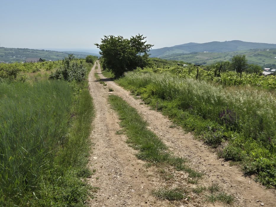 Teren intravilan Tomești-Goruni
