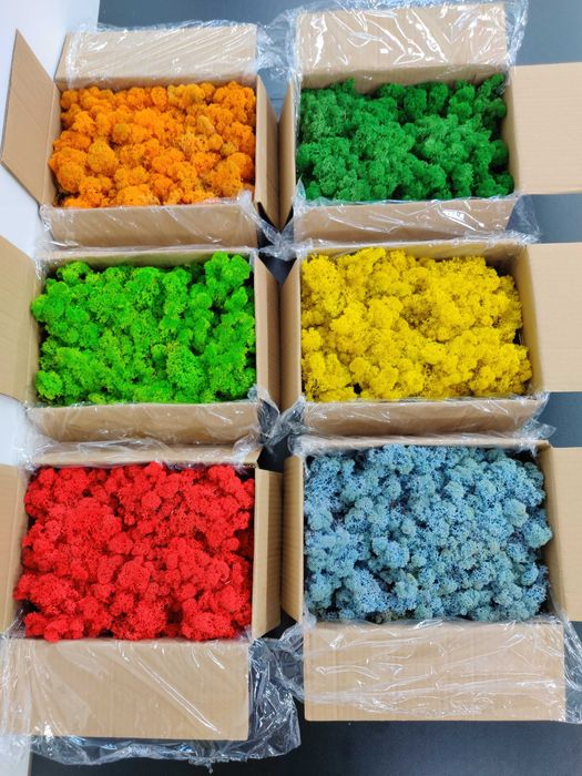 Licheni Craiova, pret Importator direct