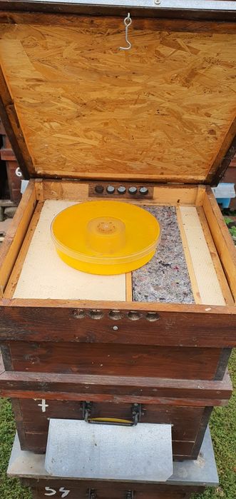 Vând stupi 12 rame cu cat 1/2