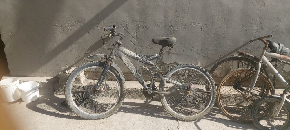 Velosipedlar sotiladi optom