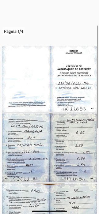 Barca cu Motor Bylainer