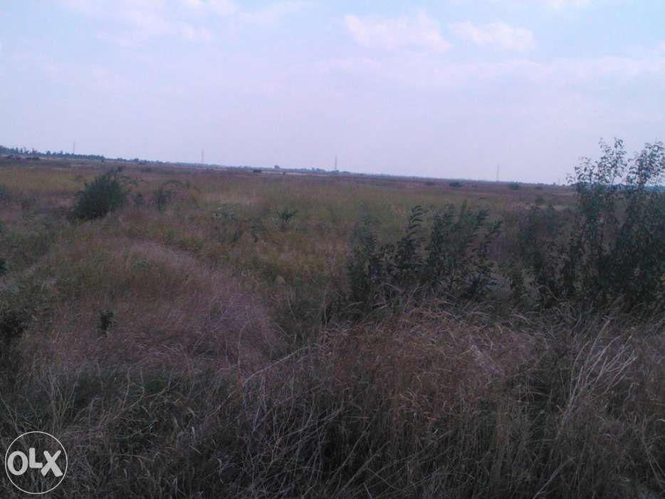 teren de vânzare: 7500  mp