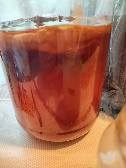 Kefir de apa de lapte Kombucha