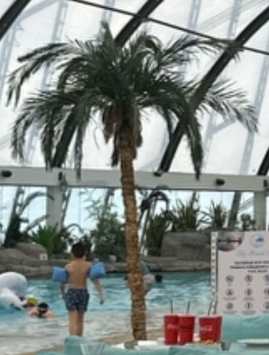 Продам искусственные пальмы